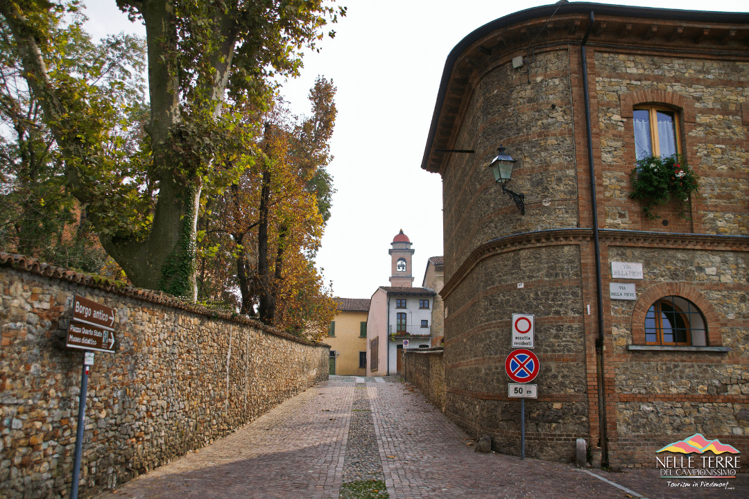 Nelle Terre del Campionissimo